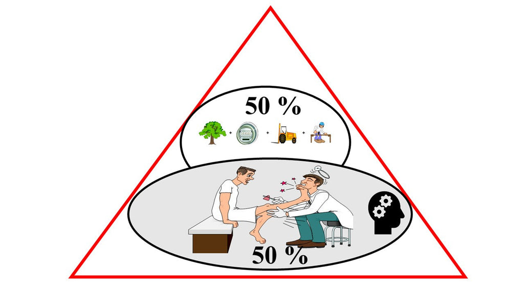 Dividing Kaizen activities into different segments