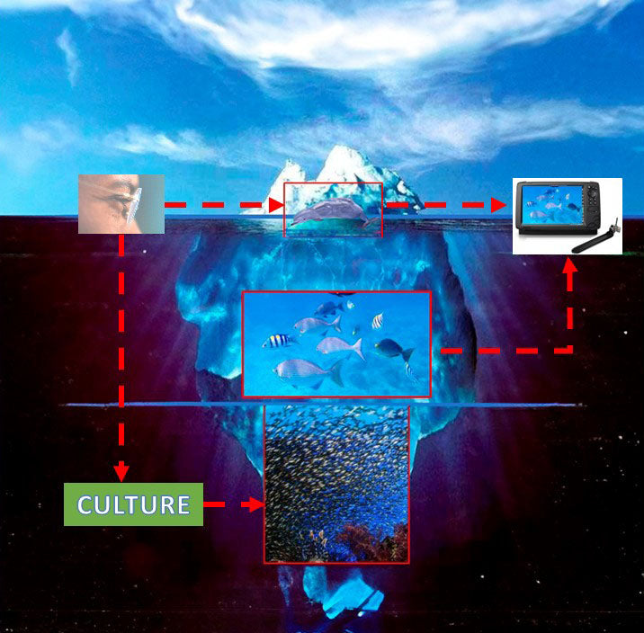 Strategic Cost Management & Profitability Engineering